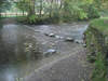 Derwent at Rosthwaite