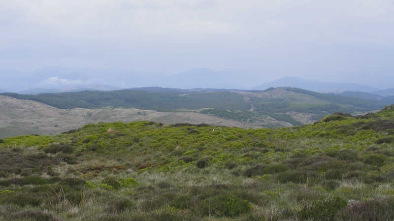 View north from Top o' Selside 