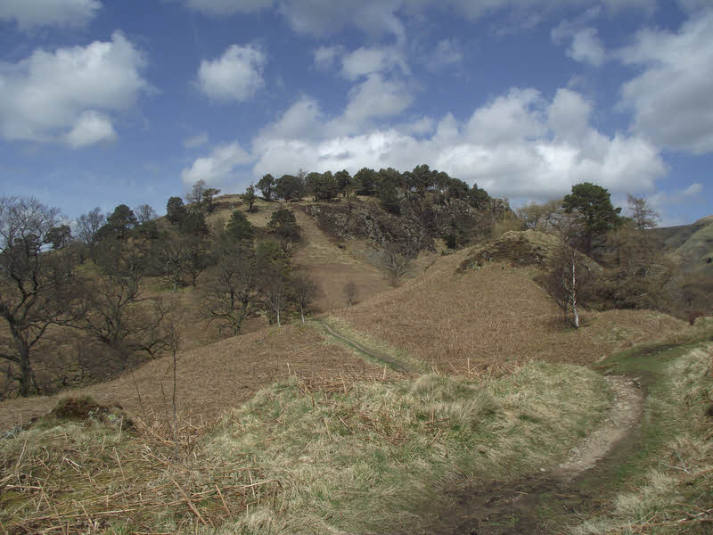 The path up Wren Crag, High Rigg 